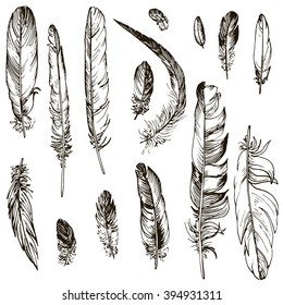 vector set of ink drawing feathers,hand drawn natural elements