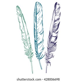 vector set of ink drawing feathers,hand drawn isolated elements