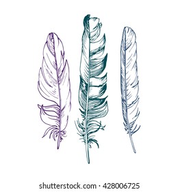 vector set of ink drawing feathers,hand drawn isolated elements