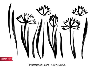 Vector set of ink drawing herbs, flowers, monochrome artistic botanical illustration, isolated floral elements, hand drawn illustration.