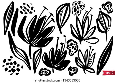 Vector set of ink drawing herbs, flowers, monochrome artistic botanical illustration, isolated floral elements, hand drawn illustration.