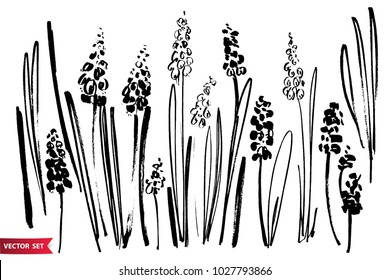 Vector set of ink drawing hyacinths, herbs and flowers, monochrome artistic botanical illustration, isolated floral elements, hand drawn illustration.