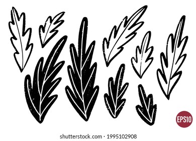 Vector set of ink drawing leaves, monochrome artistic botanical illustration, isolated floral elements, hand drawn illustration.