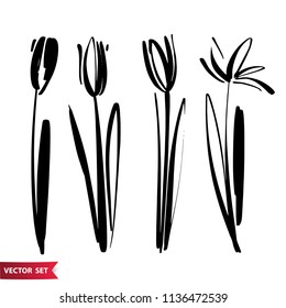 Vector set of ink drawing tulip flowers, monochrome artistic botanical illustration, isolated floral elements, hand drawn illustration.