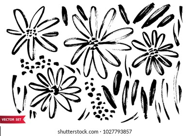 Vector set of ink drawing wild plants, herbs and flowers, monochrome artistic botanical illustration, isolated floral elements, hand drawn illustration.