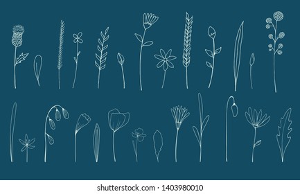 Vector set of ink drawing wild plants, herbs and flowers, monochrome botanical illustration withburdock, leaves, branches, daisy, grass, bud, blossom. Isolated floral hand drawn elements