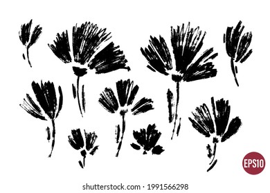 Vector set of ink drawing wild plants, flowers, monochrome artistic botanical illustration, isolated floral elements, hand drawn illustration.