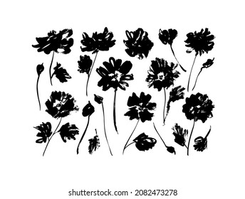 Vector set of ink drawing wild plants, small herbs and flowers on stems. Grunge style brush painting black flowers silhouettes. Botanical stencil. Chamomile, daisy, aster hand draw illustration.