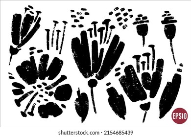 Vector set of ink drawing wild poppy flowers, seeds and seed capsules. Monochrome artistic botanical elements, hand drawn graphic resources.