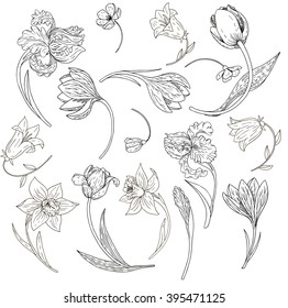 vector set of ink flowers, hand drawn floral elements
