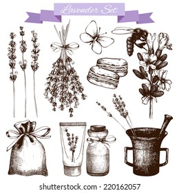 Vector set of ink hand drawn lavender illustration in lilac color. Vintage collection of lavender flowers sketch isolated on white