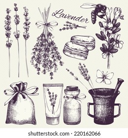 Vector set of ink hand drawn lavender illustration in lilac color. Vintage collection of lilac lavender flowers sketch.