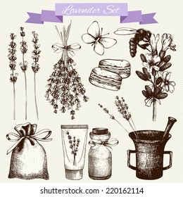 Vector set of ink hand drawn lavender illustration in lilac color. Vintage collection of lavender flowers sketch