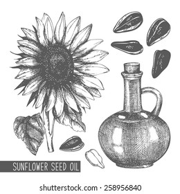 Vector set with ink hand drawn sunflower seed oil illustration isolated on white