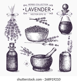 Vector set of ink hand drawn lavender illustration in lilac color. Vintage collection of lilac lavender cosmetics sketch isolated on white