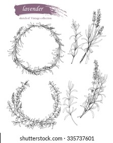 Vector set of ink hand drawn lavender illustration. Vintage collection of  lavender cosmetics sketch isolated on white.