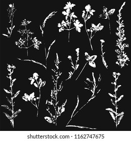 Vector set of ink stamp of herbs  on black background  