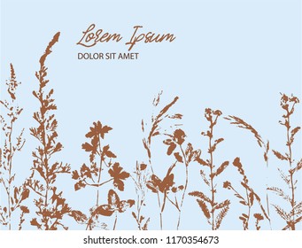 Vector set of ink stamp of herbs on blue background. Poster, card, booklet, label