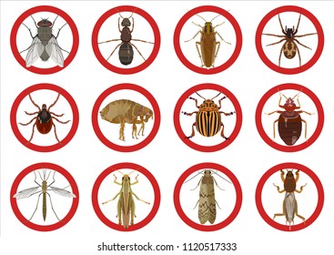 Vector set with insect red icons of pests of cockroach and tick, fleas and spider, mosquito and fly, moth an ant on light background.