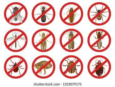 Vector set with insect red icons of pests of cockroach and tick, fleas, locust and spider, mosquito and fly, moth an ant on light background.