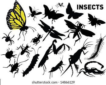 vector set of insects