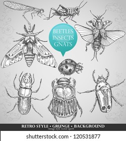 vector set insects in vintage style