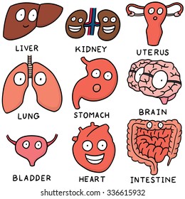 Vector Set Internal Organ Cartoon Stock Vector (Royalty Free) 336615932