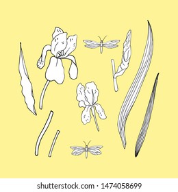 Vector set of iris flowers and butterflies on a yellow background. Collection of leaves and iris flowers for invitation design, greeting card, design fabric pattern, gift wrapping, packing, site