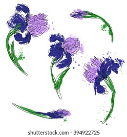 vector set of irises with paint stains, hand drawn floral elements