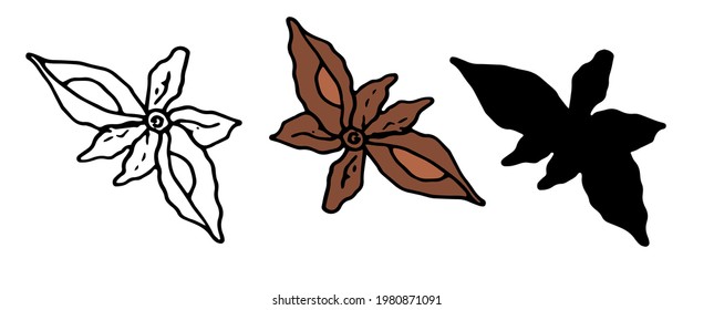Vector set of isolated anise star sketch elements with irregular shape seeds, brown and black outline and silhouette on white background for design template. hand drawn seasonings all anise top view 