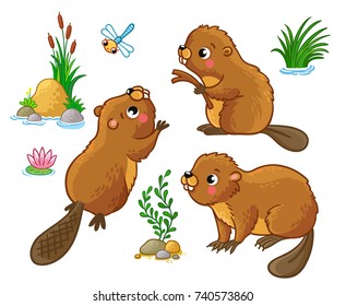 Vector set with isolated beavers in different poses. Cute animals in cartoon style.