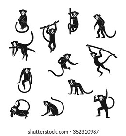 Vector set isolated black monkey silhouettes  in different stance. Symbols of Chinese New Year.