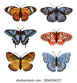 Vector set with isolated butterflies. Handdrawn design