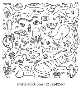 Vector set of isolated cartoon underwater animals. Doodle outline design.