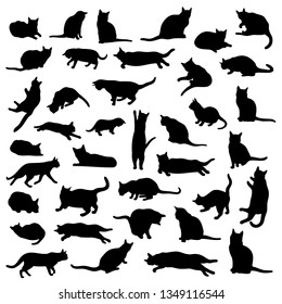 Conjunto vectorial de siluetas de gatos aisladas y detalladas en diferentes poses y acciones en color negro sobre fondo blanco.