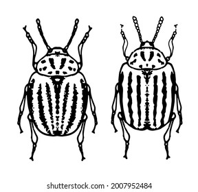 Vector set of isolated elements of Colorado beetles on a white background for a packaging design template. round beetle with stripes on its back, with antennae and legs, sketch-style top view, isolate