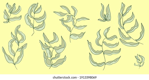 Vector set isolated elements with leaves. Simple vector drawing. Manual graphics. Stylish vintage illustration. Design elements for wallpaper, fabrics, postal packaging.