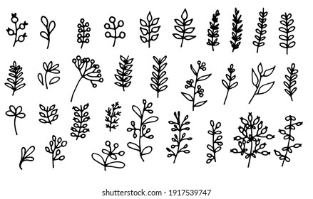 vector set of isolated elements of twigs with leaves and berries, drawn by hand in the style of doodles. plant texture twigs with leaves and berries black outline on white background for design templa