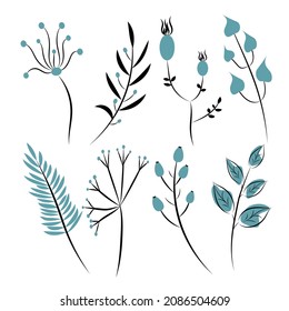 Vector set of isolated elements from twigs with leaves and berries.Black outline on white background for design template,greeting cards,websites.