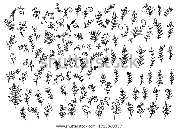 Vector Set Isolated Elements Twigs Leaves Stock Vector (Royalty Free ...