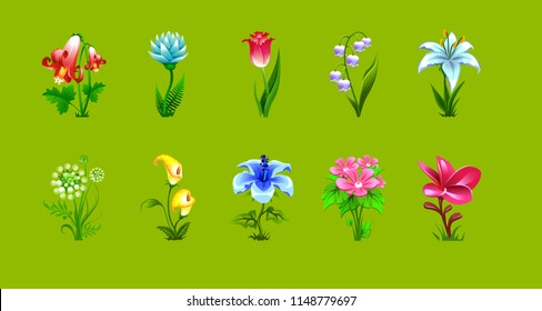 vector set of isolated flowers of different plants on a green background