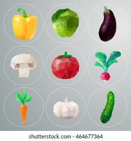 Vector set with isolated geometric pepper, cabbage, eggplant, mushroom, tomato, radish, carrot, garlic, cucumber 