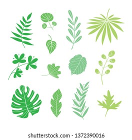 Vector set of isolated green leaves silhouette.