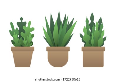 Conjunto de vectores de plantas de casas aisladas en macetas. Gráficos planos.