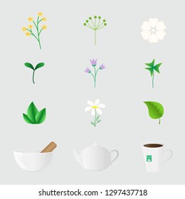 Vector set of isolated icons with different herbs and objects in realistic style. For kitchen (spices, condiments and herbs), alternative and chinese medicine, wellness, yoga, zen, ayurvedic concept.