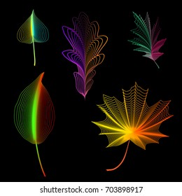 Vector set of isolated leaves on a black background. Contours of leaves of neon color