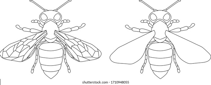 Vector set of isolated linear insect bee