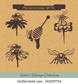 Vector  set isolated objects, icons and shortcuts in brown on beige background with honeycombs and text-Banner