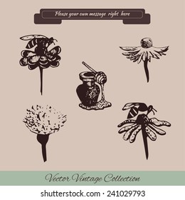 Vector set isolated objects, icons and shortcuts in brown on a light background and text-Banner
