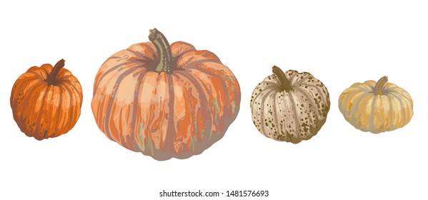 Vector set of isolated pattern with wonderful colorful different sort of pumpkins set on lines, hand-drawn, graphic, real-style. Seasonal colors: orange, beige, brown, green. Looks watercolor, fresh.